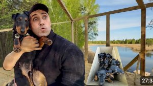 Строю дом на дереве. Зарыбление пруда 5 тис мальком щуки. Щенки в гостях у Тони папы