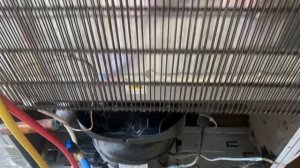 Ремонт после ремонта,холодильник Бирюса не морозит по