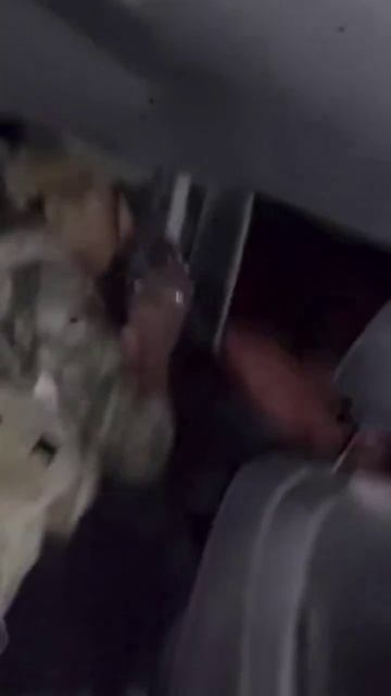 Мексика. Боец наркокартеля  радостно напевает знаменитую песню...  Трамп не одобряет!