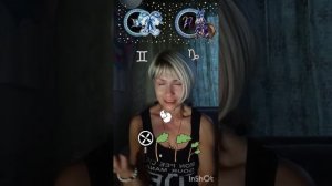 Близнецы и Козерог. Совместимость