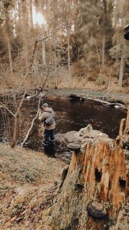 #спиннинг #рыбалка | Форелевая речка |