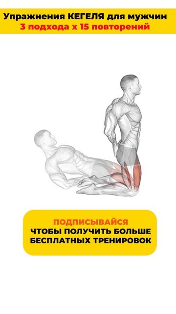 Упражнения кегеля для мужчин смотреть онлайн