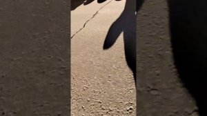 Замена фильтра осушителя МАН