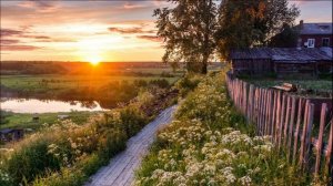 Красивое Пение Птиц Утром в Деревне.  5 Часов Звуки Птиц