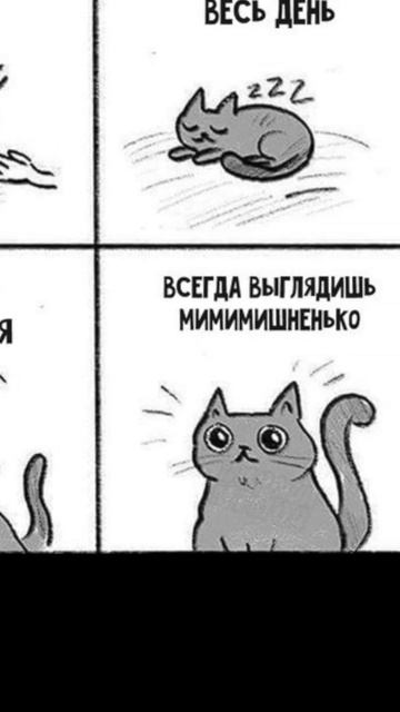 Им быть круто #cat #кошки #memes смотреть онлайн