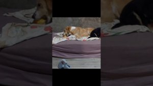 Вечер, каждый занят своим делом