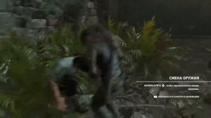 Shadow of the Tomb raider_ Превозмогая боль
