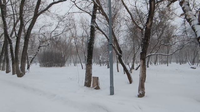 Муженёк сделал дорогие подарки свекрови и золовке, а м смотреть онлайн