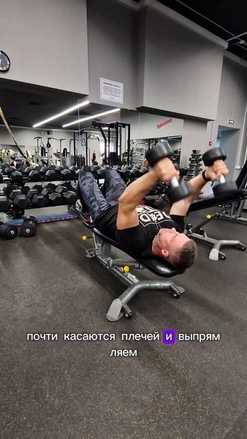 Французский жим гантелей #fitness #спорт #фитнес #sports #сила смотреть онлайн