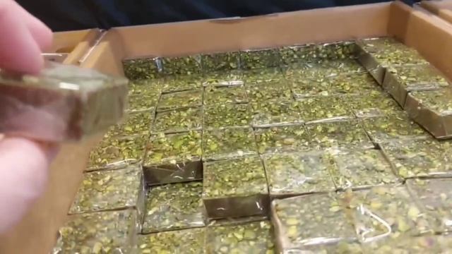 246 Уехала на западный берег реки Иордан За арабскими к? смотреть онлайн