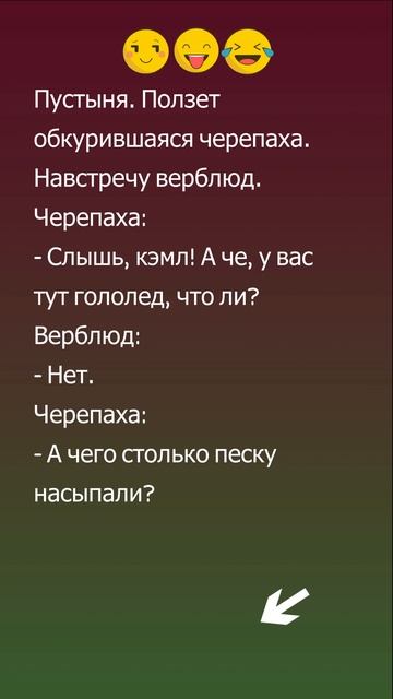 Черепаха приколистка смотреть онлайн