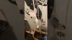 Можно ли вешать водонагреватель над унитазом?