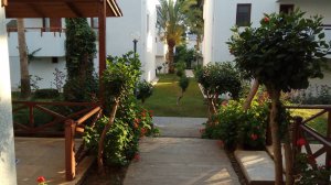 Турция - Анталия - Отель Antik - Май 2019 - все понятно и без комментариев