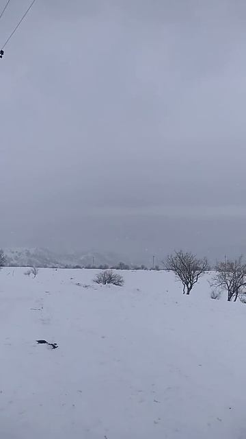 Чимган снег 2020 год смотреть онлайн