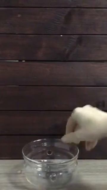 Комплект д/подогрева чайника "Проотель"; термост. стек? смотреть онлайн