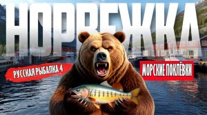 Русская Рыбалка 4 | Морские Поклёвки | Норвежка