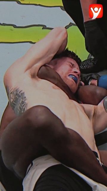 !Лучший греплер в истории легчайшего веса! #shorts #ufc #мма смотреть онлайн