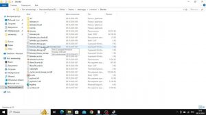 Гайд что если вылезла ошибка EXCEPTION_ACCESS_VIOLATION блендер 4.2