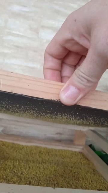 Самая простая сушилка для цветочной пыльцы смотреть онлайн