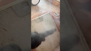 Пароочиститель CLEAN TECH - PREMIUM. Как пользоваться пароочис