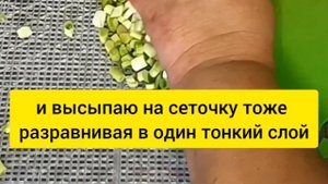 Заготовки на зиму! сушка зелёного лука без хлопот...