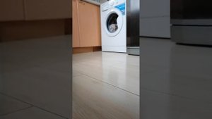 стиральная машинка indesit модель EWSB 5085 стирка