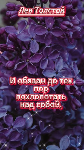 #shorts  Человек обязан быть счастлив