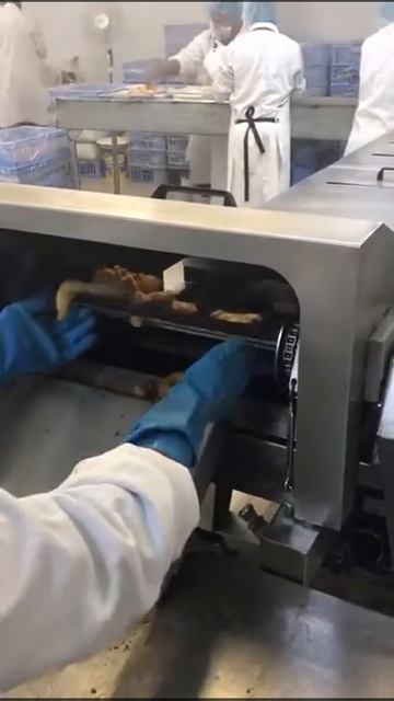 Печь жарочная непрерывного действия Gaser FC-3300/600 смотреть онлайн