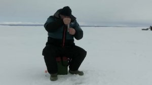 Рыбалка на Камчатке 2025. Стада корюшки и не только