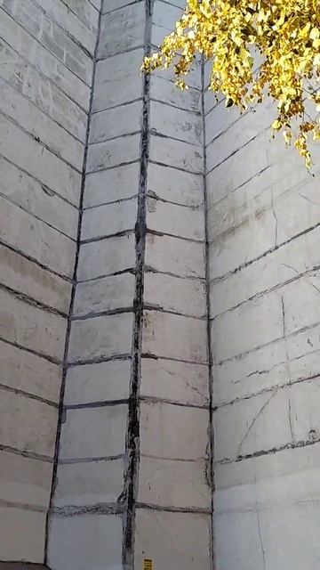 Романтика домов-кораблей спальных районах Санкт-Пете? смотреть онлайн