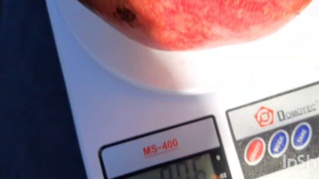 Когда созревает гранат. смотреть онлайн