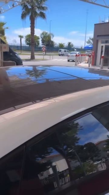 Бесплатные Курсы по трейдингу в тг ( В тг шапке профиля смотреть онлайн