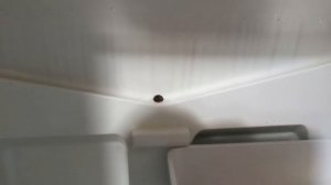 В холодильнике собралась вода. Как прочистить дренажн