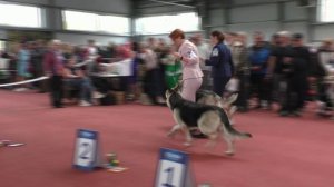 Сравнение на ЛС