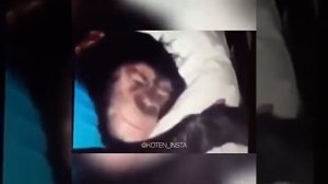 Ержан вставай на работу пара