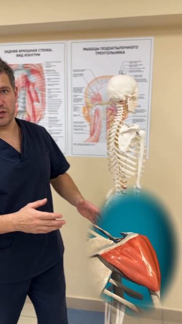 Болит плечо Растяжка #массаж #больвплече смотреть онлайн