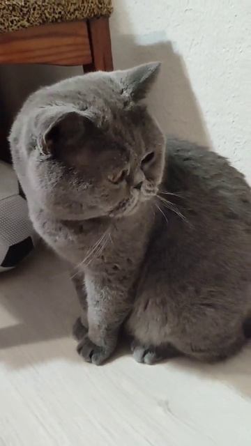 #позитив юмор умный холодильник 👍🫶 подпишись спасиб смотреть онлайн