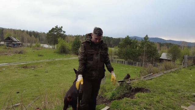 Первый рабочий день после переезда на Алтай понеслась....