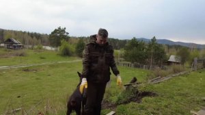 Первый рабочий день после переезда на Алтай, понеслась....