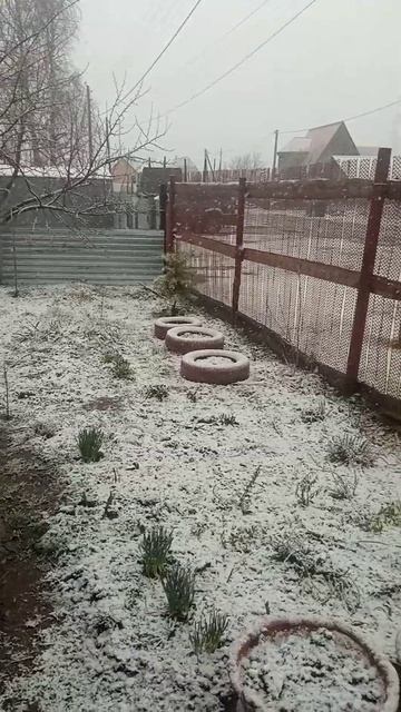 Алтайский край. Барнаул. 1мая 2024года смотреть онлайн