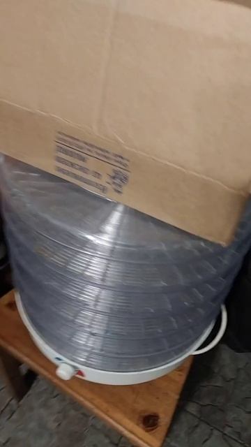 Сделал Сухофрукты из Груши в Сушилке)) смотреть онлайн