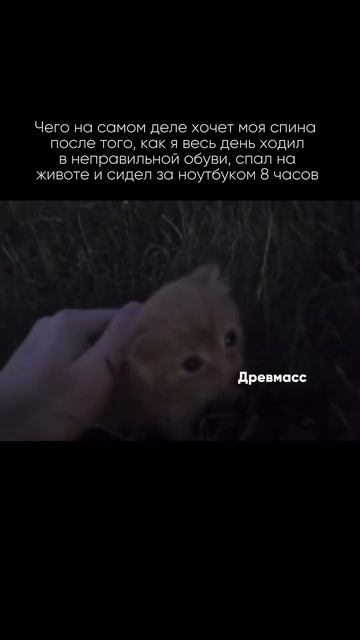Ваша спина купила бы Древмасс #short #shorts #drevmass #древмасс #
