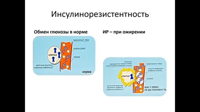 Причины избыточной массы тела