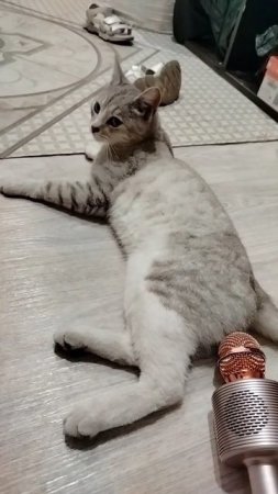 это не я