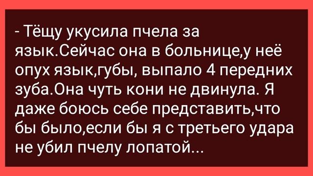 Как Географичка Математика с Техничкой Застукала! Сборник Свежих Смешных Жизненных Анекдотов! смотреть онлайн