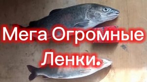 Рыбалка! Зима-Весна. 
9 Марта 2025.