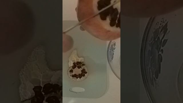 Больше не чисть гранат никогда #гранат смотреть онлайн