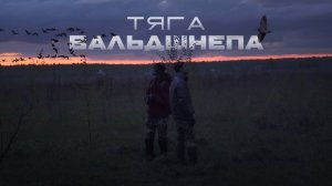 ТЯГА ВАЛЬДШНЕПА. Засняли стаю журавлей и проводили закат