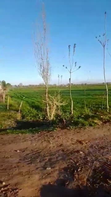 Самые лучшие погода в Таджикистан смотреть онлайн