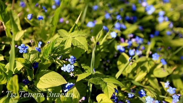 5 Марта День Святого Льва Катанского. Тайны Праздника 5